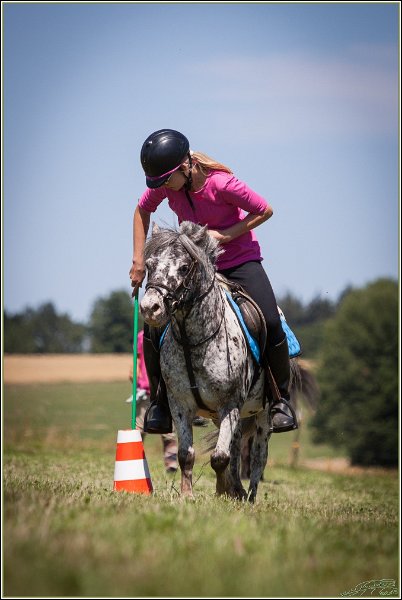 Mounted Games 190